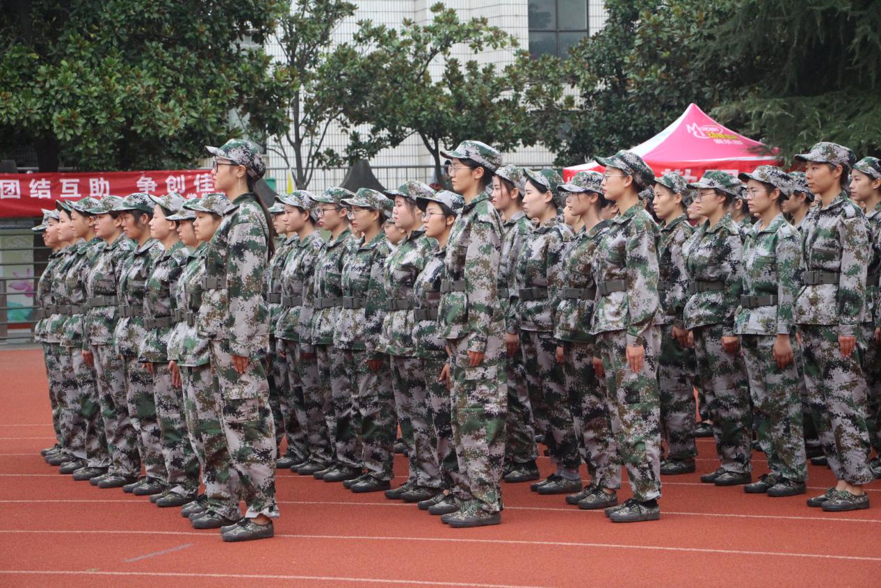 crown皇冠体育平台